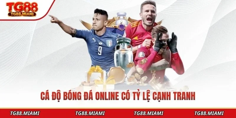 Cá độ bóng đá online có tỷ lệ cạnh tranh